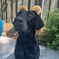 processed/cf07b309-abd6-4c21-9dec-dbdb48c7c14e/facility/393ddcb9-1b5d-412c-a829-e40292006fd7