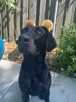 processed/cf07b309-abd6-4c21-9dec-dbdb48c7c14e/facility/393ddcb9-1b5d-412c-a829-e40292006fd7