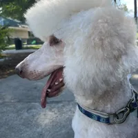 processed/cf07b309-abd6-4c21-9dec-dbdb48c7c14e/facility/57aab7b3-777d-48a2-9d8f-39216483788b