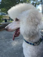 processed/cf07b309-abd6-4c21-9dec-dbdb48c7c14e/facility/57aab7b3-777d-48a2-9d8f-39216483788b