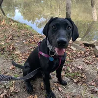 processed/cf07b309-abd6-4c21-9dec-dbdb48c7c14e/facility/5e16346e-ec20-49f1-b460-e6acdcf0088b