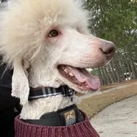 processed/cf07b309-abd6-4c21-9dec-dbdb48c7c14e/facility/78da9f76-f725-4095-817e-6d5d382f7103