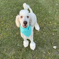 processed/cf07b309-abd6-4c21-9dec-dbdb48c7c14e/facility/c0650093-fb8b-463e-be03-c0bbff4d439e