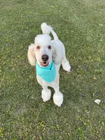 processed/cf07b309-abd6-4c21-9dec-dbdb48c7c14e/facility/c0650093-fb8b-463e-be03-c0bbff4d439e