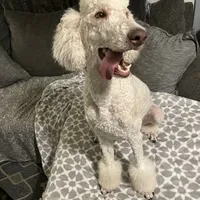 processed/cf07b309-abd6-4c21-9dec-dbdb48c7c14e/facility/df84a177-f1bf-450b-99ec-42e2bfff2bbb