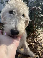 processed/cf07b309-abd6-4c21-9dec-dbdb48c7c14e/listing/e383cc44-4ebc-4532-a643-dd19c2a957fb/4ce6a725-de2a-406d-9fd0-ce5f9e47a7be