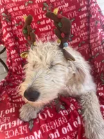 processed/cf07b309-abd6-4c21-9dec-dbdb48c7c14e/listing/e383cc44-4ebc-4532-a643-dd19c2a957fb/abf80504-7e06-41a9-9afa-280fec736da6