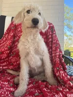 processed/cf07b309-abd6-4c21-9dec-dbdb48c7c14e/listing/e383cc44-4ebc-4532-a643-dd19c2a957fb/b1603bd6-5d9b-4eb9-9eca-a375b40969c1