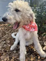 processed/cf07b309-abd6-4c21-9dec-dbdb48c7c14e/listing/e383cc44-4ebc-4532-a643-dd19c2a957fb/d0f8fabc-1a2b-47fc-a602-a3b2efd88c0a