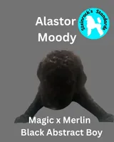 Alastor , a male Poodle - Standard  for sale in Baltimore, MD – Photo 2 of 4