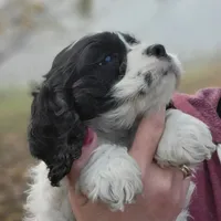 processed/cf2c5595-bbe0-4e38-8285-92a0b3117fa8/facility/42354e4c-d961-4d2a-a486-fddee29d8a9c