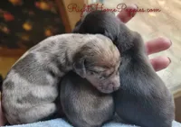 processed/cf2c5595-bbe0-4e38-8285-92a0b3117fa8/facility/66feb133-8003-4f58-8649-aa1ab7d68c1e