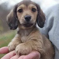 processed/cf2c5595-bbe0-4e38-8285-92a0b3117fa8/facility/7329a17f-f302-4c96-b533-edfb41be5bb4