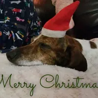 processed/cf2c5595-bbe0-4e38-8285-92a0b3117fa8/facility/7b57bab1-70ee-4019-bdae-6e2421291ad6