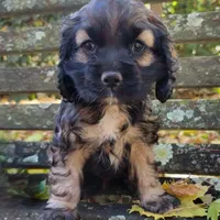 processed/cf2c5595-bbe0-4e38-8285-92a0b3117fa8/facility/807431cf-35b7-44b5-a1b0-8087ba1bd210