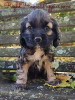 processed/cf2c5595-bbe0-4e38-8285-92a0b3117fa8/facility/807431cf-35b7-44b5-a1b0-8087ba1bd210