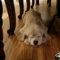 processed/cf2c5595-bbe0-4e38-8285-92a0b3117fa8/facility/83f15fdf-86c3-4c9b-9269-02fe986b66e1