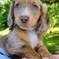 processed/cf2c5595-bbe0-4e38-8285-92a0b3117fa8/facility/99044375-f929-47a8-90a7-643ee97c985c