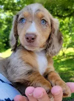 processed/cf2c5595-bbe0-4e38-8285-92a0b3117fa8/facility/99044375-f929-47a8-90a7-643ee97c985c