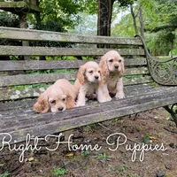 processed/cf2c5595-bbe0-4e38-8285-92a0b3117fa8/facility/ab1d65b3-be47-49b3-8a38-0744def12dad