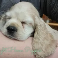 processed/cf2c5595-bbe0-4e38-8285-92a0b3117fa8/facility/c8279bfe-687a-4f1d-9ef8-6bb562e8353e