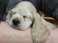 processed/cf2c5595-bbe0-4e38-8285-92a0b3117fa8/facility/c8279bfe-687a-4f1d-9ef8-6bb562e8353e