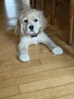 processed/cf2c5595-bbe0-4e38-8285-92a0b3117fa8/listing/f7db2982-73f7-4db6-b897-ad9b7d80d37d/23e41e24-c963-4a29-a06d-9e178f1a7cc4