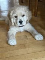 processed/cf2c5595-bbe0-4e38-8285-92a0b3117fa8/listing/f7db2982-73f7-4db6-b897-ad9b7d80d37d/5db71742-50c6-42e8-97eb-a81591b6ab34