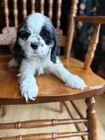 processed/cf2c5595-bbe0-4e38-8285-92a0b3117fa8/listing/fe29e321-cd02-46c1-8534-383c4d19fc8a/05b8caca-3ebd-44ca-b36b-4d15737676e8