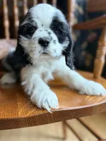 processed/cf2c5595-bbe0-4e38-8285-92a0b3117fa8/listing/fe29e321-cd02-46c1-8534-383c4d19fc8a/1db60114-f8ea-4262-b688-210affb3ebc1