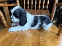 processed/cf2c5595-bbe0-4e38-8285-92a0b3117fa8/listing/fe29e321-cd02-46c1-8534-383c4d19fc8a/283d6d8c-7150-479f-a072-7313335767ec