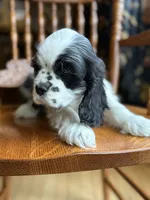 processed/cf2c5595-bbe0-4e38-8285-92a0b3117fa8/listing/fe29e321-cd02-46c1-8534-383c4d19fc8a/616bcb68-bf85-4ef1-ae13-2650e8d92b77