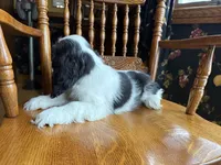 processed/cf2c5595-bbe0-4e38-8285-92a0b3117fa8/listing/fe29e321-cd02-46c1-8534-383c4d19fc8a/9833f7b0-ba3a-4677-bc71-e040a2a27e8d