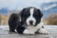 processed/cf2e4098-1d62-46a6-b18a-597774bc2a14/listing/580b576f-d93c-4a6f-957a-e0d534846b7c/214b465a-47aa-4f63-b244-77f15563e5c7