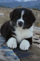 processed/cf2e4098-1d62-46a6-b18a-597774bc2a14/listing/580b576f-d93c-4a6f-957a-e0d534846b7c/2b6b3cc4-6246-40ce-af95-ac4dcb91e662