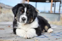 processed/cf2e4098-1d62-46a6-b18a-597774bc2a14/listing/580b576f-d93c-4a6f-957a-e0d534846b7c/34b73bd1-1ff7-4a6d-92a7-b88ebc808124