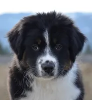 processed/cf2e4098-1d62-46a6-b18a-597774bc2a14/listing/580b576f-d93c-4a6f-957a-e0d534846b7c/539c5ad0-253a-41a4-bfbf-31ac4664a568