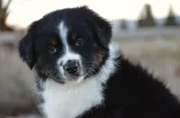 processed/cf2e4098-1d62-46a6-b18a-597774bc2a14/listing/580b576f-d93c-4a6f-957a-e0d534846b7c/794d69ca-ef04-4393-9189-976920f95e58