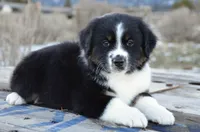 processed/cf2e4098-1d62-46a6-b18a-597774bc2a14/listing/580b576f-d93c-4a6f-957a-e0d534846b7c/8e4fcd0a-da0d-4efb-8aa8-b39e9030eac2