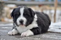 processed/cf2e4098-1d62-46a6-b18a-597774bc2a14/listing/580b576f-d93c-4a6f-957a-e0d534846b7c/b014b1ce-9c33-483c-b167-6d44402a5ff4