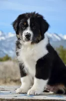 processed/cf2e4098-1d62-46a6-b18a-597774bc2a14/listing/580b576f-d93c-4a6f-957a-e0d534846b7c/cca2e65b-21e2-4560-b449-f8cd0938c9f4