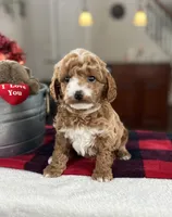 processed/cf34e52f-b7e5-4035-83b8-6664c8b6693b/listing/0e21278c-8f31-4500-86c1-378a97948415/849e7a6e-001e-4378-ad4e-ad8b8f608f97