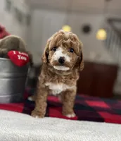 processed/cf34e52f-b7e5-4035-83b8-6664c8b6693b/listing/0e21278c-8f31-4500-86c1-378a97948415/cdff9b5d-352d-40de-8ad0-ed01daeb611f