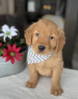 processed/cf34e52f-b7e5-4035-83b8-6664c8b6693b/listing/c7bef9b0-472c-44da-9d4e-e96a458c4008/00972c00-91b6-4a2b-8184-81c706e30502