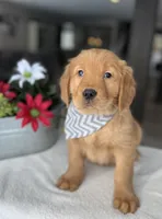 processed/cf34e52f-b7e5-4035-83b8-6664c8b6693b/listing/c7bef9b0-472c-44da-9d4e-e96a458c4008/cf5c9326-ec10-44a0-ad21-6709648c7f28