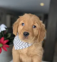 processed/cf34e52f-b7e5-4035-83b8-6664c8b6693b/listing/c7bef9b0-472c-44da-9d4e-e96a458c4008/f92427d2-14f8-4c9d-ba27-1b14b1e5f963