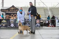 processed/cf3d924d-71af-4345-9cbc-b870f0348b6e/facility/38d5ba2e-511b-4e69-b9f6-89ff7073d537