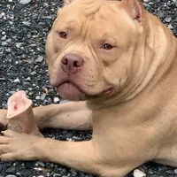 processed/cf3d924d-71af-4345-9cbc-b870f0348b6e/facility/3b45281a-0bb6-4e42-8a96-979d5c4a5b20