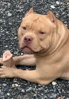 processed/cf3d924d-71af-4345-9cbc-b870f0348b6e/facility/3b45281a-0bb6-4e42-8a96-979d5c4a5b20