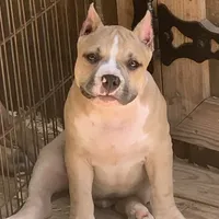 processed/cf3d924d-71af-4345-9cbc-b870f0348b6e/facility/466be386-c9d4-4537-a98a-4e37abffcd82